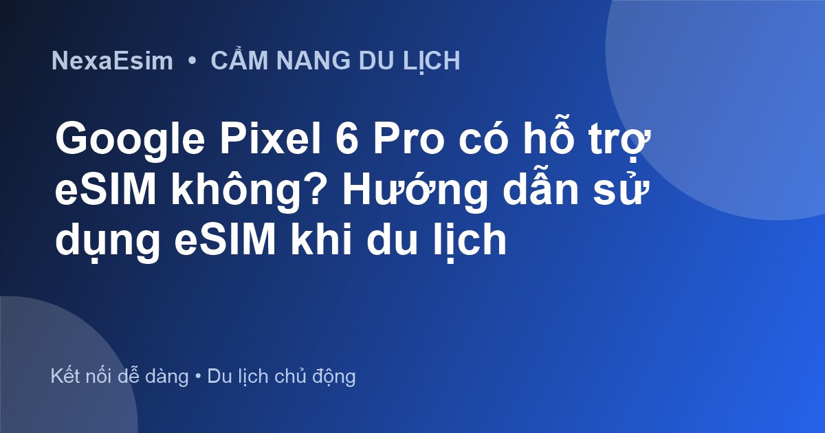 Google Pixel 6 Pro có hỗ trợ eSIM không? Hướng dẫn sử dụng eSIM khi du lịch