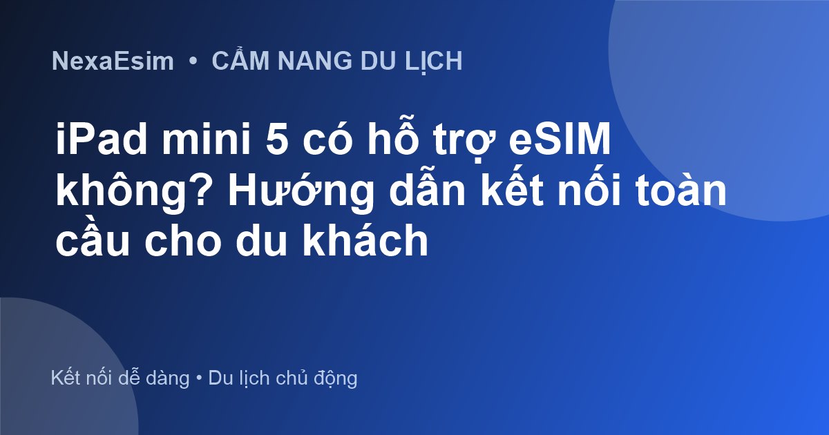 iPad mini 5 có hỗ trợ eSIM không? Hướng dẫn kết nối toàn cầu cho du khách