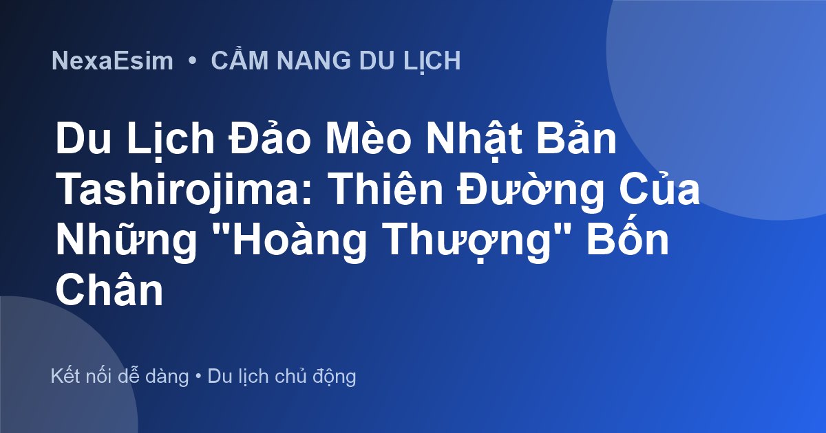 Hấp Dẫn Đảo Mèo Tashirojima Nhật Bản: Cẩm Nang Du Lịch Chi Tiết - Hướng dẫn sử dụng eSim