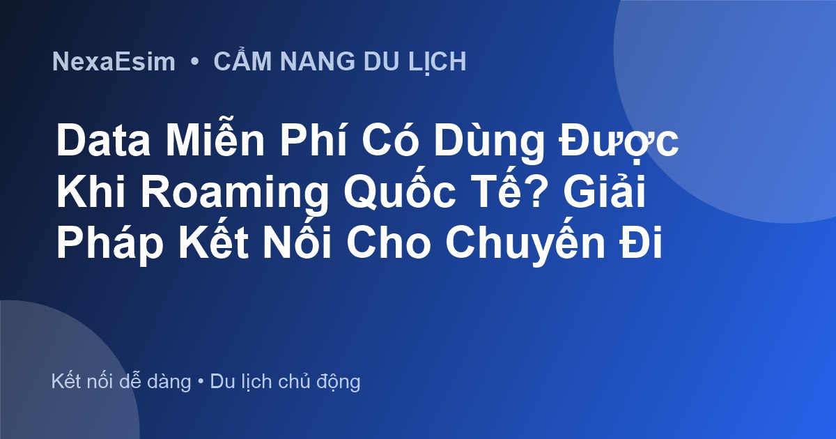 Data Miễn Phí Có Dùng Được Khi Roaming Quốc Tế? Giải Pháp Kết Nối Cho Chuyến Đi - Hướng dẫn sử dụng eSim