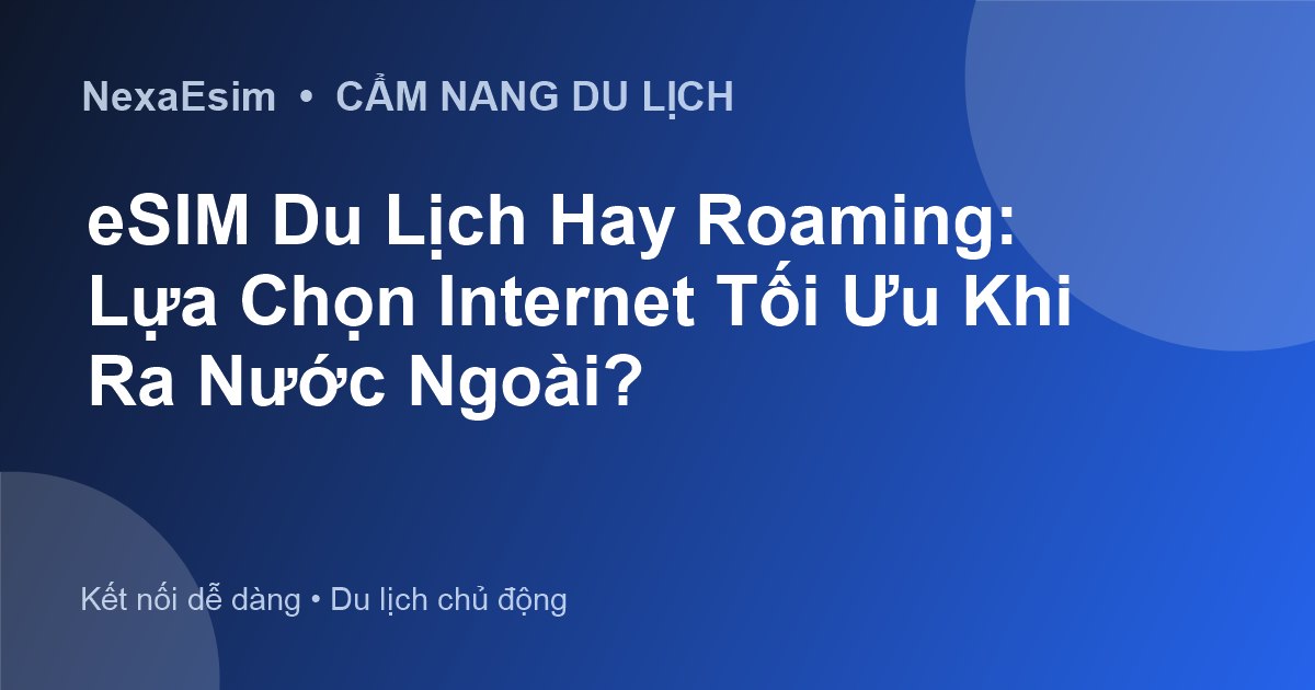 eSIM Du Lịch Hay Roaming: Lựa Chọn Internet Tối Ưu Khi Ra Nước Ngoài? - Hướng dẫn sử dụng eSim