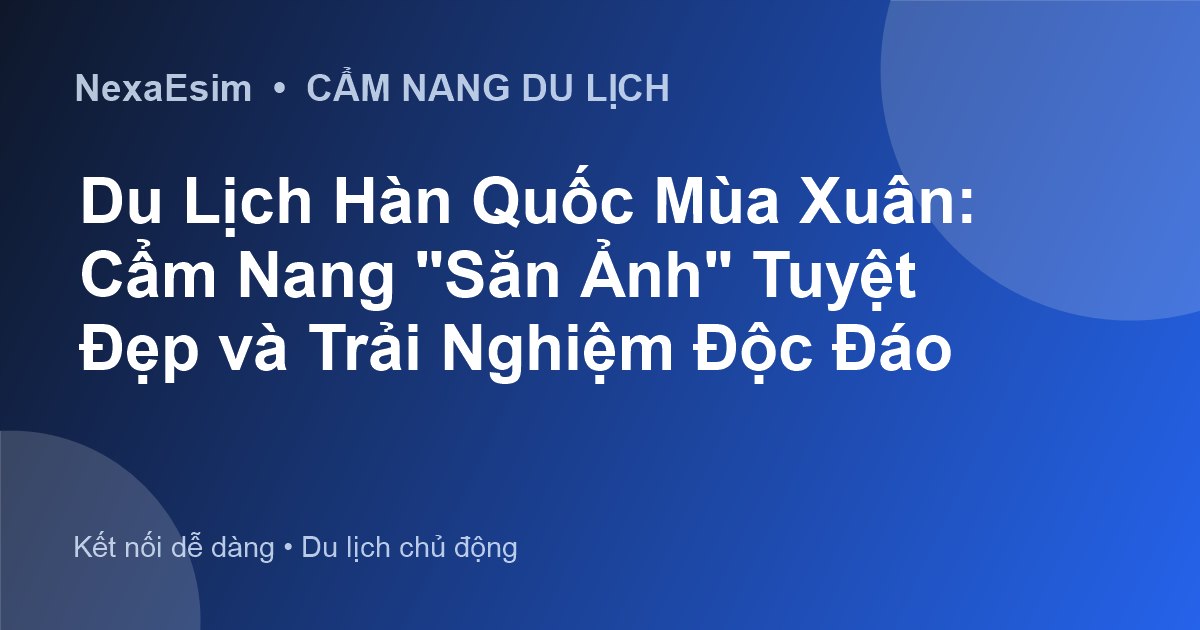 Du lịch Hàn Quốc mùa xuân: Khám phá vẻ đẹp nở rộ và những mẹo chụp ảnh ấn tượng