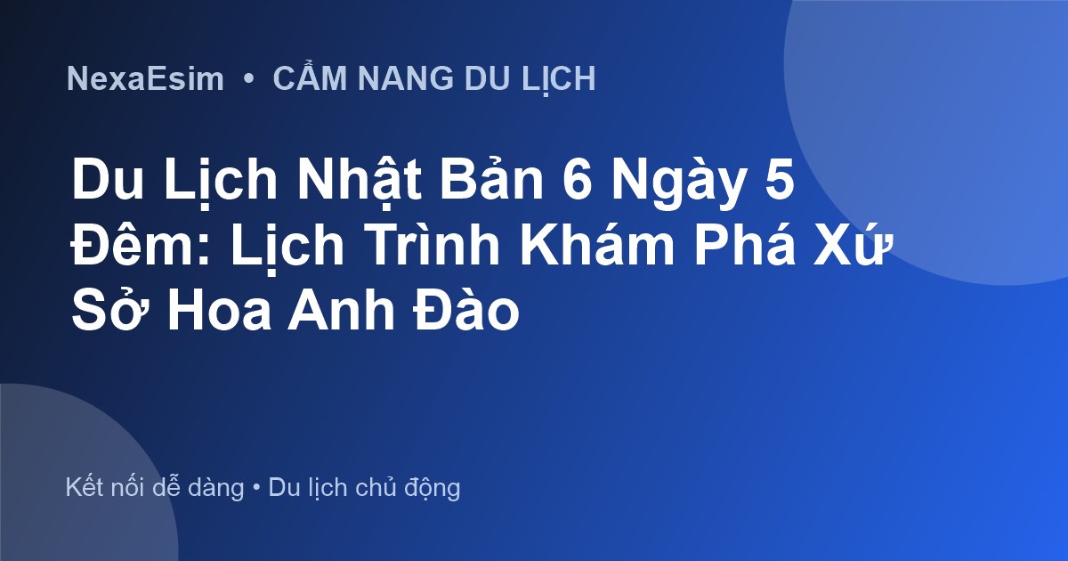 Du Lịch Nhật Bản 6 Ngày 5 Đêm: Lịch Trình Khám Phá Xứ Sở Hoa Anh Đào - Hướng dẫn sử dụng eSim