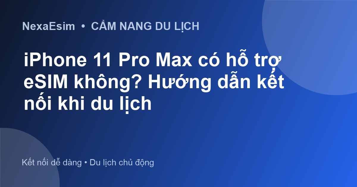 iPhone 11 Pro Max có hỗ trợ eSIM không? Hướng dẫn kết nối khi du lịch