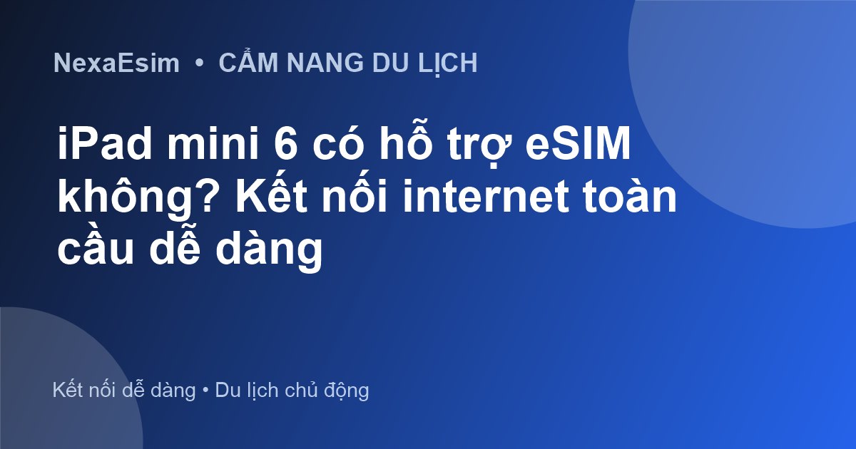 iPad mini 6 có hỗ trợ eSIM không? Kết nối internet toàn cầu dễ dàng