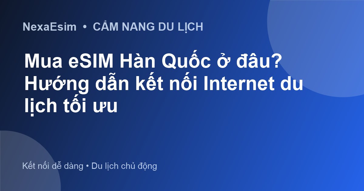 Mua eSIM Hàn Quốc ở đâu? Hướng dẫn kết nối Internet du lịch tối ưu - Hướng dẫn sử dụng eSim
